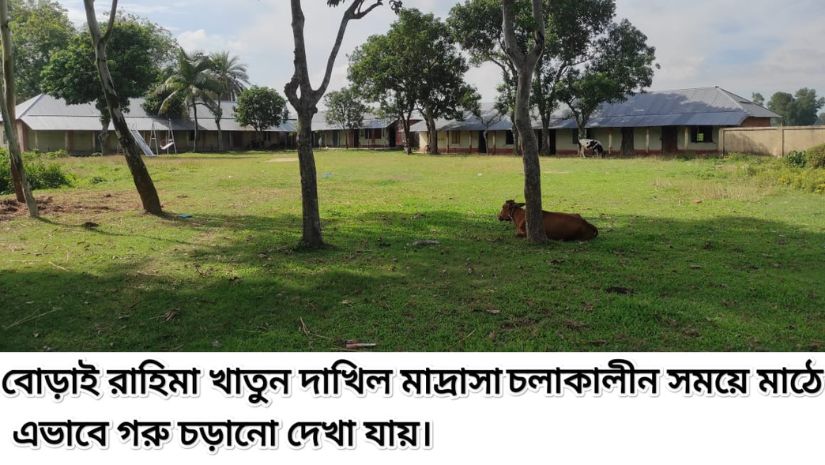 কালাই