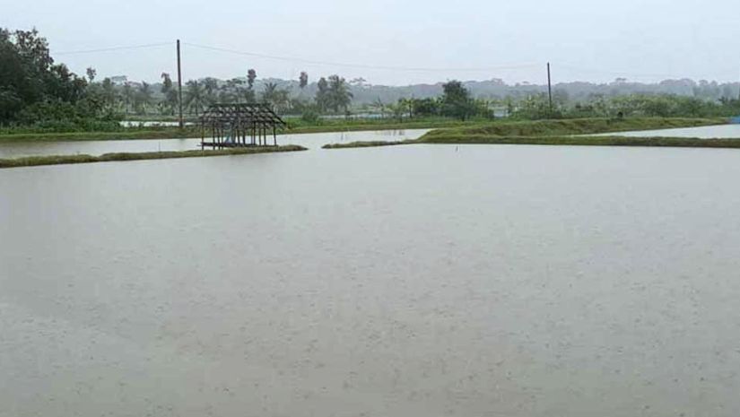 ঘূর্ণিঝড়