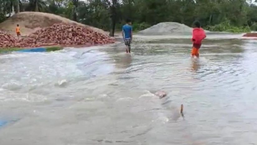পানি