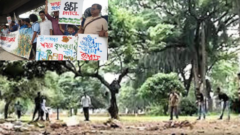 মেট্রোরেল