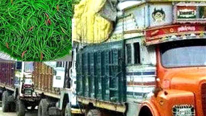 কাঁচামরিচ