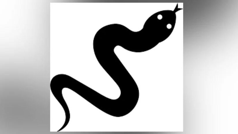 সাপ