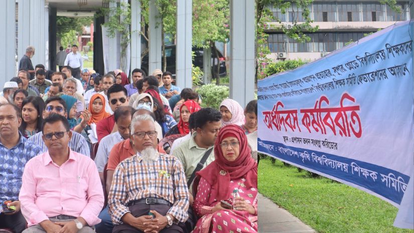 বাকৃবি