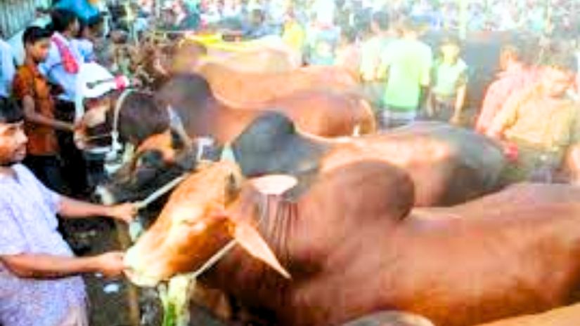 আজহা
