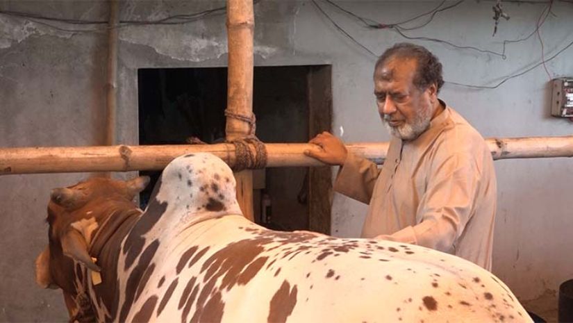 কুরবানি