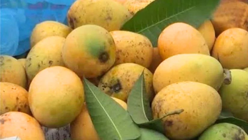 আম