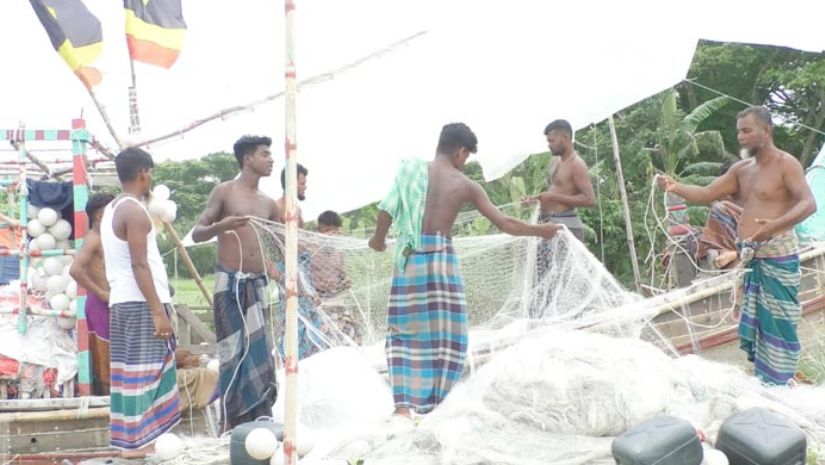 ইলিশের