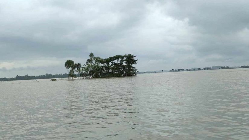  প্লাবিত 