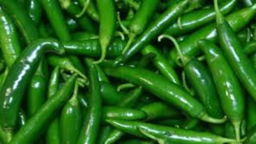 মরিচ