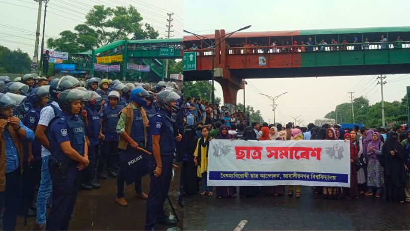 জাবি