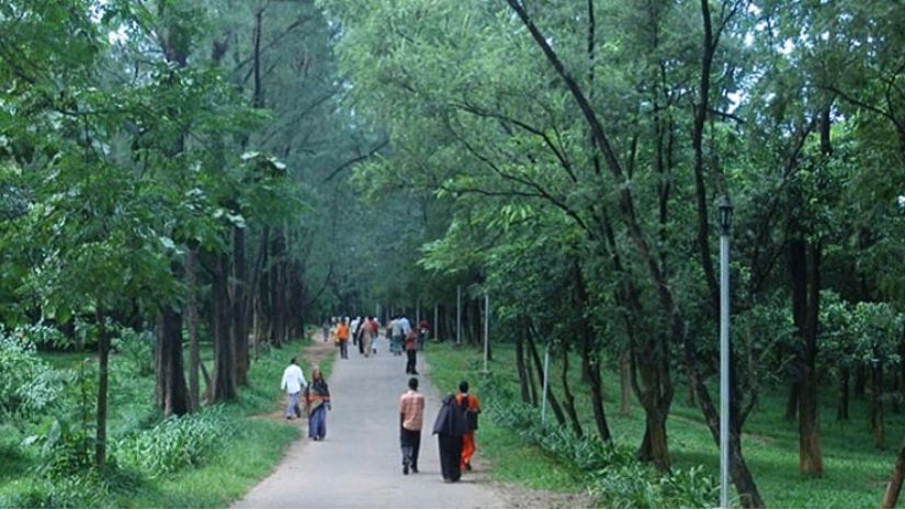 গার্ডেন