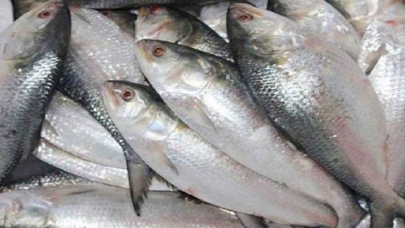 দুর্গাপূজা