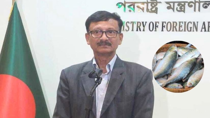 ইলিশ