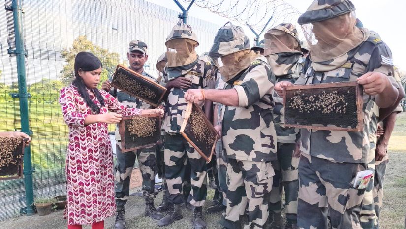ভারত 