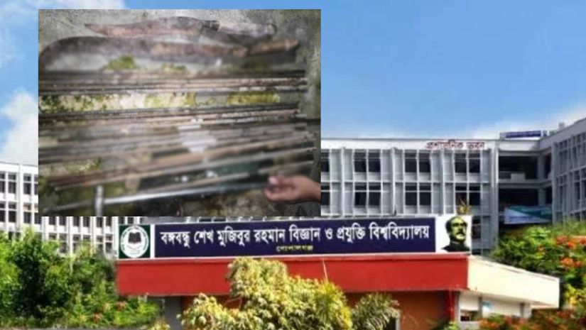 বশেমুরবিপ্রবি