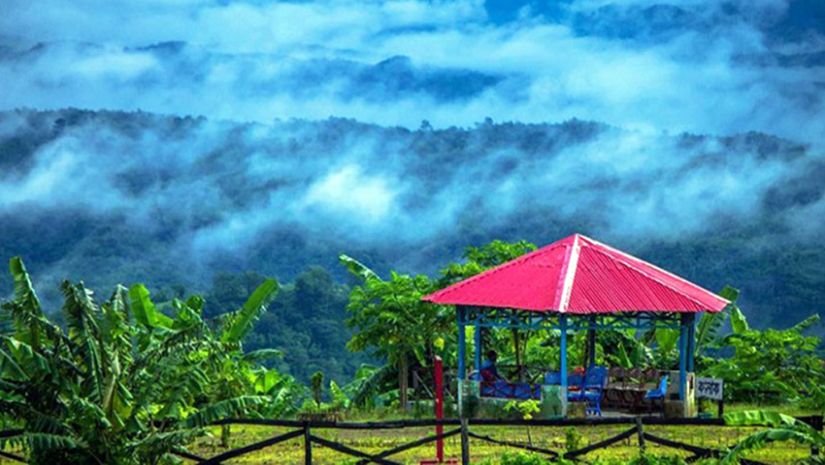 সাজেক