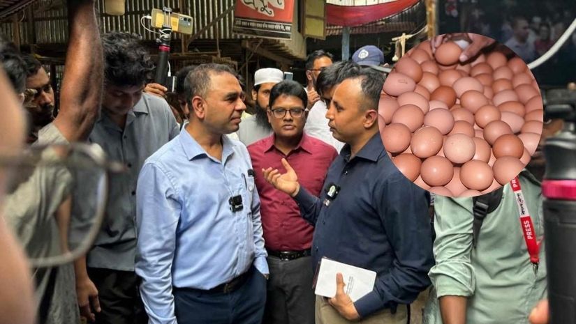 ডিম