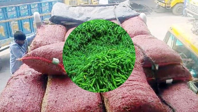 কাঁচামরিচ