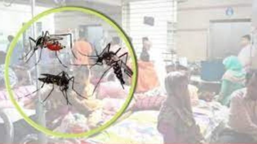 ডেঙ্গু