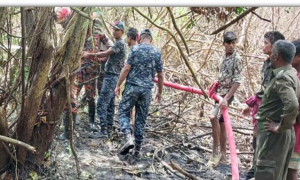গতকাল লাগা আগুনে এখনও জ্বলছে সুন্দরবন