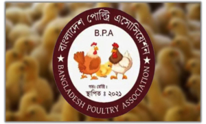 মে থেকে দেশজুড়ে ডিম-মুরগির খামার বন্ধ ঘোষণা