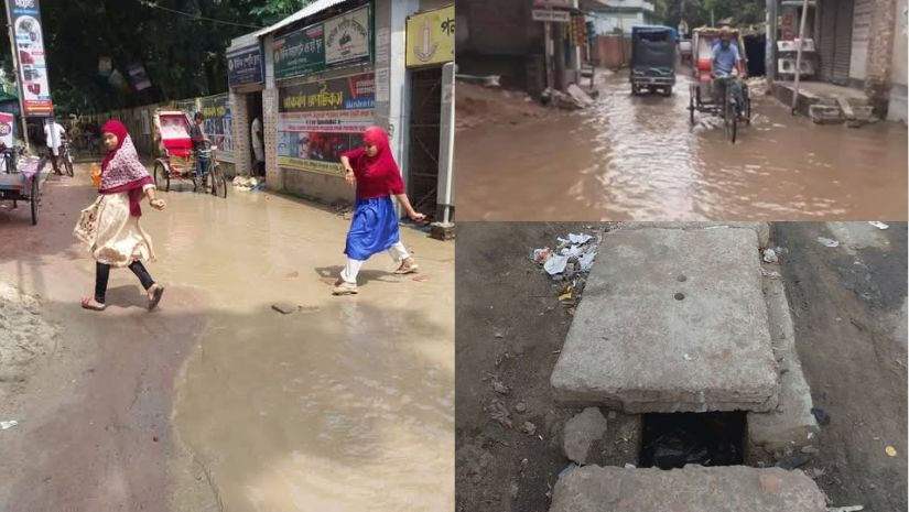 পলাশবাড়ী
