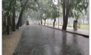 আজ যেসব অঞ্চলে বৃষ্টি হতে পারে