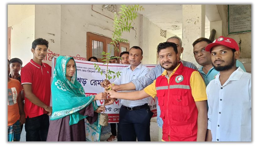 গলাচিপা