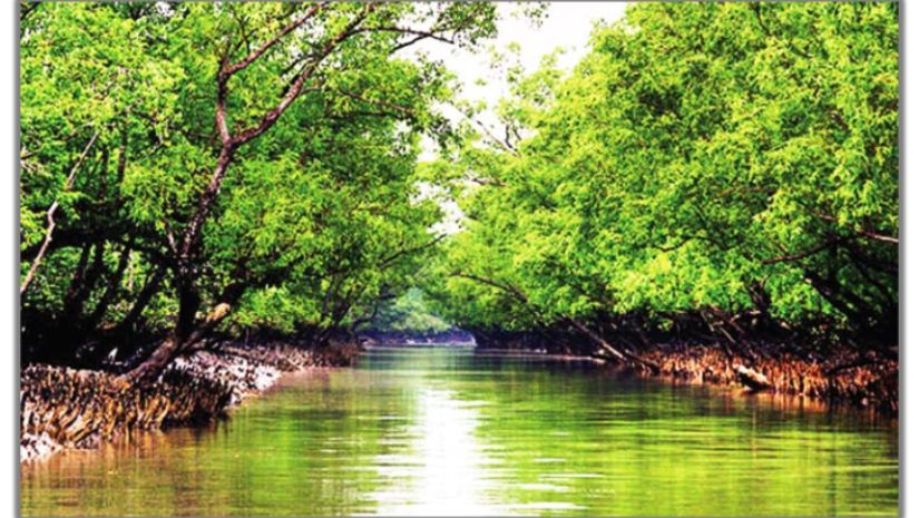 সুন্দরবন