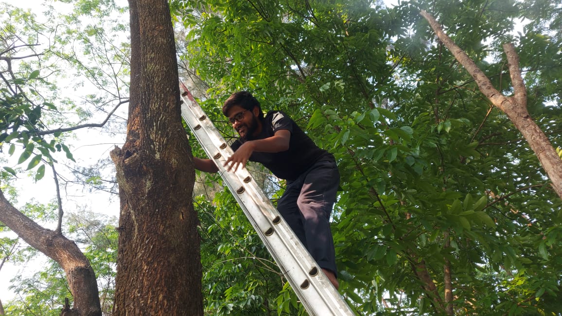 নোবিপ্রবি