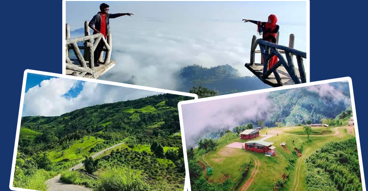 বাংলাদেশের দার্জিলিং (ছবি সংগৃহীত)