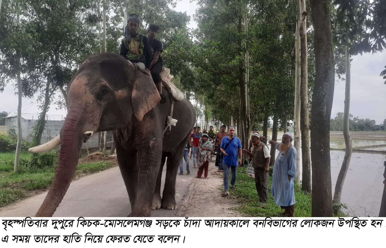 হাতি দিয়ে চাঁদা আদায়