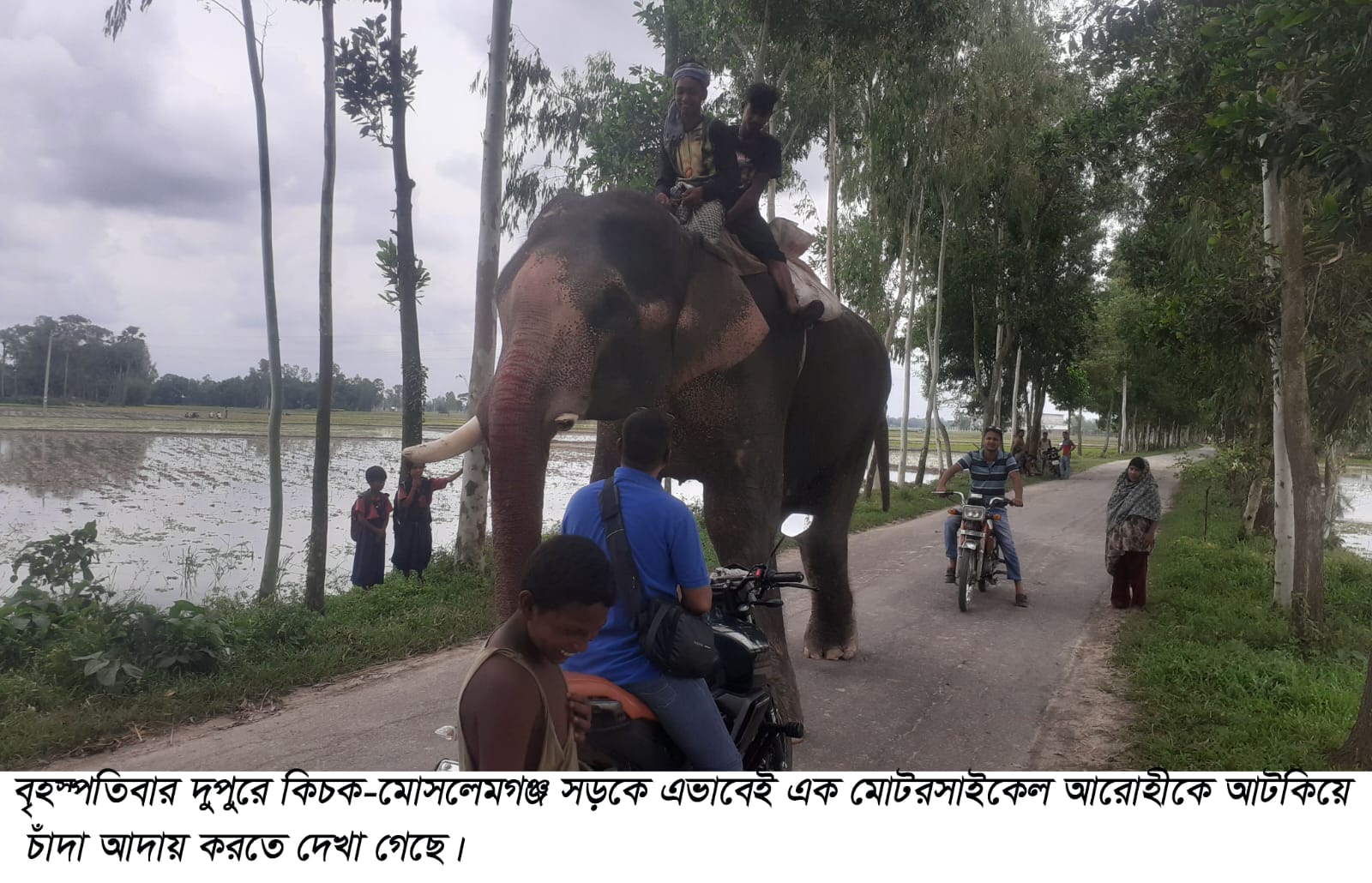হাতি দিয়ে চাঁদা আদায়