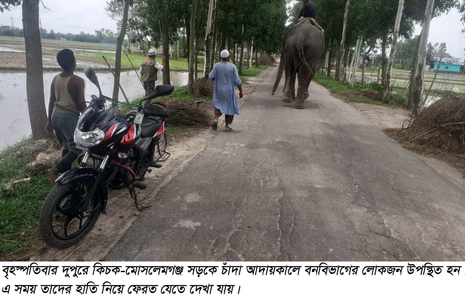 হাতি দিয়ে চাঁদা আদায়