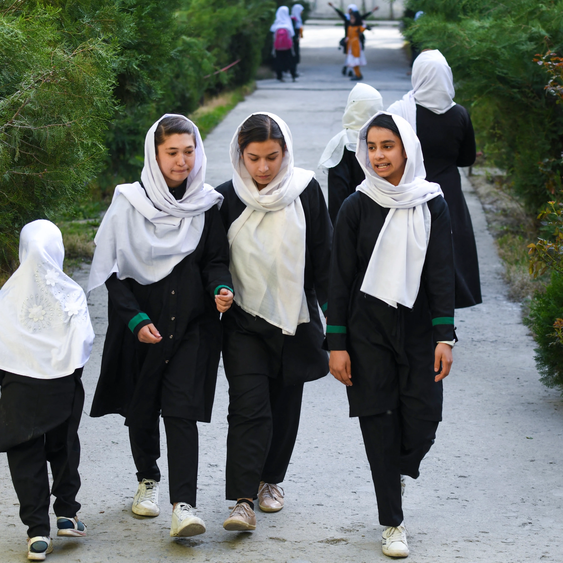 আফগানিস্তানে নারী শিক্ষার্থী