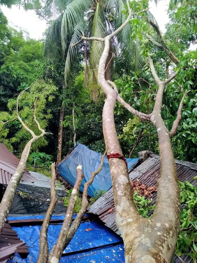 ঘুর্ণিঝড় রেমালে ক্ষতবিক্ষত উপকূলীয় জেলা বরগুনা